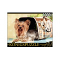Фото товара - ПазлыKONIGSPUZZLE 1000 дет. Йоркширский терьер КБК1000-6468, (Рыжий кот)
