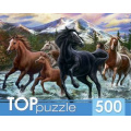Фото товара - ПазлыTOPpuzzle 500 дет. Табун лошадей в горах ХТП500-6812, (Рыжий кот)