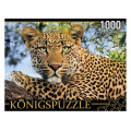 Фото товара - ПазлыKONIGSPUZZLE 1000 дет. Портрет леопарда ГИK1000-0648, (Рыжий кот)