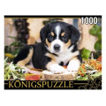 Фото товара - ПазлыKONIGSPUZZLE 1000 дет. Щенок швейцарского зенненхунда ШТK1000-0645, (Рыжий кот)