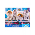 Фото товара - ПазлыTOPpuzzle 1000 дет. Котята скоттиш фолд ШТТП1000-4154, (Рыжий кот)