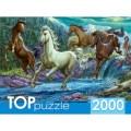 Фото товара - ПазлыTOPpuzzle 2000 дет. Ночной табун лошадей ХТП2000-1594, (Рыжий кот)