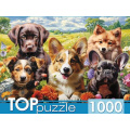 Фото товара - ПазлыTOPpuzzle 1000 дет. Веселое селфи щенков Ф1000-3868, (Рыжий кот)