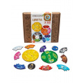 Фото товара - Пазлы 60 дет. Мои первые пазлы. Цвета (дерево, в коробке, от 3 лет) 05438, (ООО "Десятое королевство")