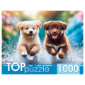 Фото товара - ПазлыTOPpuzzle 1000 дет. Бегущие щенки ХТП1000-8737, (Рыжий кот)