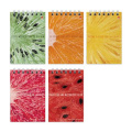 Маленькое фото товара - Блокнот на спирали А7 40л клетка "ЭКЗОТИЧЕСКИЕ ФРУКТЫ/EXOTIC FRUITS" 3-40-722 Альт. Вариант №1