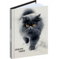Фото товара - Записная книжка А6  96л клетка "ПУШИСТЫЙ КОТ - 5" 96-7562 Проф-Пресс