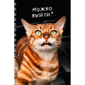 Маленькое фото товара - Тетрадь А4  80л клетка на спирали "Котики" + лист с наклейками ТС2Л4805211 Listoff. Вариант №1