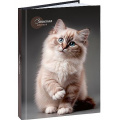 Фото товара - Записная книжка А5 160л "КРАСИВЫЙ КОТ - 1" глянц.лам.,лен 160-9424 Проф-Пресс