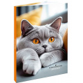 Фото товара - Записная книжка А5 120л "СЕРЫЙ ПУШИСТЫЙ КОТИК - 2" 120-8611 Проф-Пресс