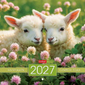 Фото товара - Календарь перекидной настенный 2027 г.  21,6х21,6 см Мини-стандарт "Символ года"    12Кнп5_36893 (096177) Хатбер