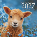 Фото товара - Календарь перекидной настенный 2027 г. 30х30 см Стандарт  "Символ года овечки"  12Кнп4_36891 (096162) Хатбер