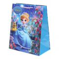 Фото товара - Пакет Бумажный 26*32*14 (L) Принцесса (детский) PL-130573-PR, (Shantou City Daxiang Plastic Toy Products Co., Ltd)