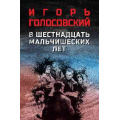 Фото товара - ВоенныйРоман Голосовский И.М. В шестнадцать мальчишеских лет, (Вече, 2026), 7Б, c.480