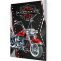 Фото товара - 2701609 Motor cycles (мини, подвеска, двойная), (МирОткр)