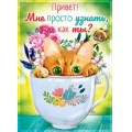Фото товара - 08033 Привет. Мне просто узнать, как ты? (карточка, мини), (ОткрытаяПланета)