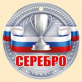 Фото товара - 5548200 Медаль "Серебро" (мини, подвеска, текст, флаг), (ИмперияПоздр)