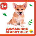 Маленькое фото товара - КнижкиНаПене Домашние животные (от 1 года), (Проф-Пресс, 2024), ПВХ, c.10. Вариант №1