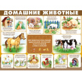 Фото товара - 2204800 Плакат "Домашние животные" (А2, текст), (ИмперияПоздр)