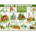 Фото товара - 2205000 Плакат "Дикие животные" (А2, текст), (ИмперияПоздр)