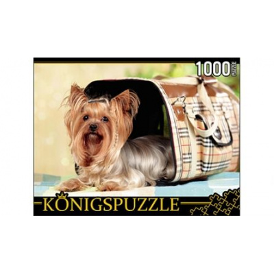 Большое фото товара - ПазлыKONIGSPUZZLE 1000 дет. Йоркширский терьер КБК1000-6468, (Рыжий кот), 11-129848. Вариант №1