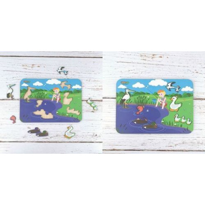 Большое фото товара - WoodLandToys Птицы (6 деталей, рамка-вкладыш) (дерево) (от 3 лет) 011501, (ООО "СИБИРСКИЙ СУВЕНИР"), 11-151151. Вариант №1