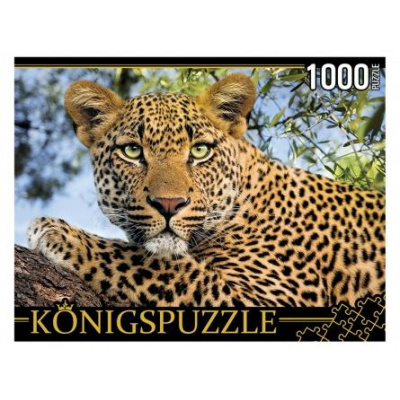 Большое фото товара - ПазлыKONIGSPUZZLE 1000 дет. Портрет леопарда ГИK1000-0648, (Рыжий кот), 11-185130. Вариант №1