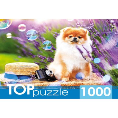 Большое фото товара - ПазлыTOPpuzzle 1000 дет. Шпиц в саду ШТТП1000-9859, (Рыжий кот), 11-211198. Вариант №1