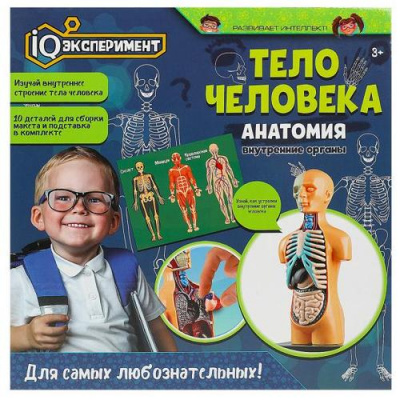 Большое фото товара - IQ Эксперимент Тело человека. Анатомия (10 деталей, в коробке, от 3 лет) A365-H24041-R, (Huada Toy Co.,Ltd), 11-222569. Вариант №1