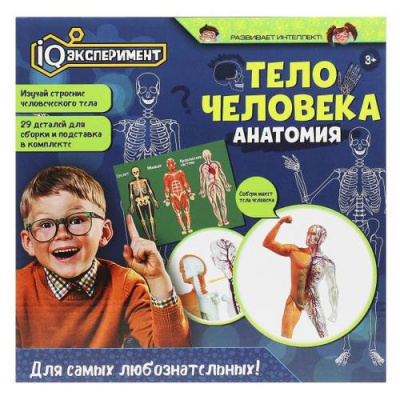 Большое фото товара - IQ Эксперимент Тело человека. Анатомия (29 деталей, в коробке, от 3 лет) A365-H24040-R, (Huada Toy Co.,Ltd), 11-222570. Вариант №1