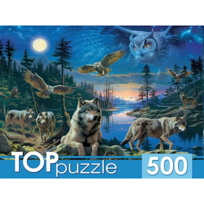 Большое фото товара - ПазлыTOPpuzzle 500 дет. Ночные совы и волки Ф500-3866, (Рыжий кот), 11-226179. Вариант №1