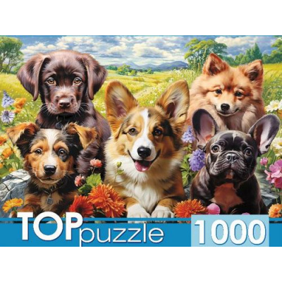 Большое фото товара - ПазлыTOPpuzzle 1000 дет. Веселое селфи щенков Ф1000-3868, (Рыжий кот), 11-229499. Вариант №1