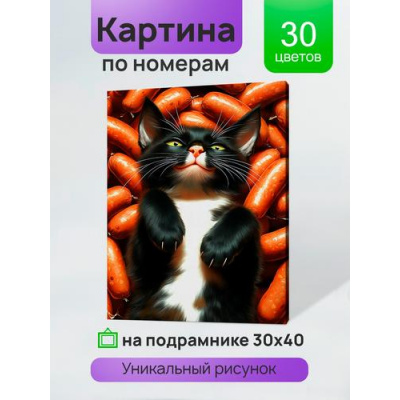 Большое фото товара - Холст Для Рисования По Номерам Довольный кот в сосисках (30*40см, акриловые краски, кисти) ХК-3919, (Рыжий кот), 11-236377. Вариант №1
