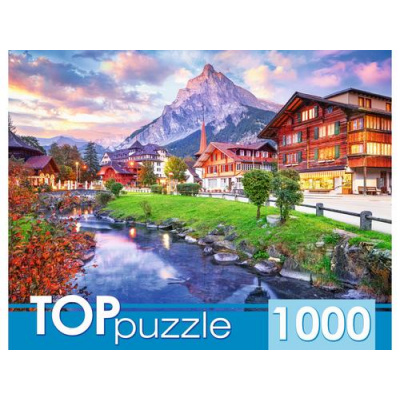 Большое фото товара - ПазлыTOPpuzzle 1000 дет. Город в Швейцарии ШТТП1000-8740, (Рыжий кот), 11-236960. Вариант №1