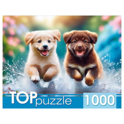 Большое фото товара - ПазлыTOPpuzzle 1000 дет. Бегущие щенки ХТП1000-8737, (Рыжий кот), 11-236961. Вариант №1