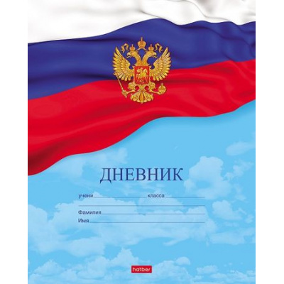 Большое фото товара - Дневник 1-11 класс на скобе "Российского школьника" (045785) 10209 Хатбер, 12-103544. Вариант №1