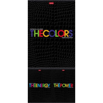 Большое фото товара - Тетрадь А4  96л клетка "THEBOOK" тиснение CROCO (072855) Хатбер, 12-149551. Вариант №1