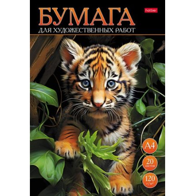 Большое фото товара - Папка для рисования А4 20л "Тигренок" 120г/м2 (085648) 30727 Хатбер, 12-183846. Вариант №1