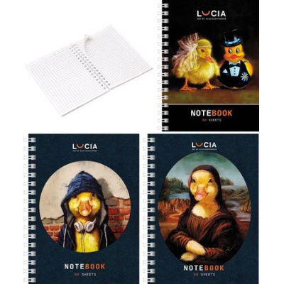 Большое фото товара - Записная книжка на спирали А6  80л "Узнай себя!_Утки - (Lucia Heffernan)" 086879 Хатбер, 12-190107. Вариант №1