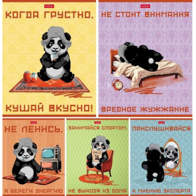Большое фото товара - Тетрадь  48л клетка "Мудрая панда" (088930) Хатбер, 12-192255. Вариант №1