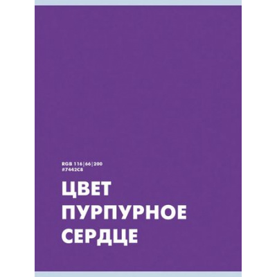 Большое фото товара - Тетрадь А4  48л клетка "Пурпурное сердце" Т4485234 Listoff, 12-193542. Вариант №1