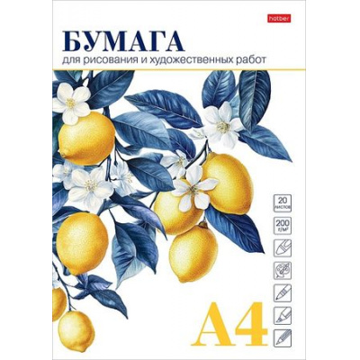 Большое фото товара - Папка для рисования А4 20л "Ветка лимона" 220г/м2 (090296) 33457 Хатбер, 12-196818. Вариант №1