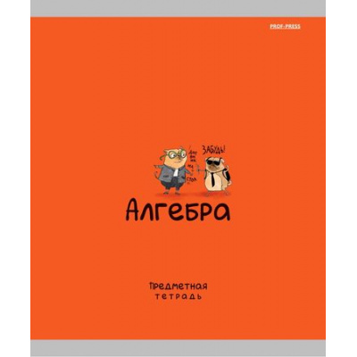 Большое фото товара - Тетрадь 48л "МИНИ-ДРУЗЬЯ" по алгебре 48-2503 Проф-Пресс, 12-197195. Вариант №1