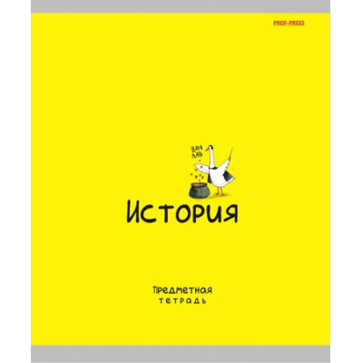 Большое фото товара - Тетрадь 48л "MINI FRIENDS" по истории 48-2510 Проф-Пресс, 12-197202. Вариант №1