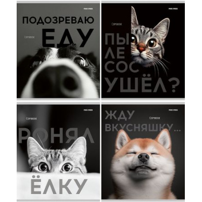Большое фото товара - Тетрадь  48л клетка "ДОМАШНИЕ ЖИВОТНЫЕ И СМЕШНЫЕ ФРАЗЫ" Т48-4865 Проф-Пресс, 12-198374. Вариант №1