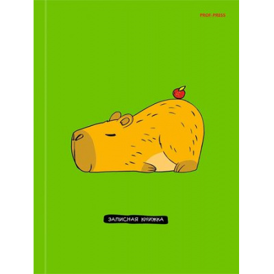 Большое фото товара - Записная книжка А5  80л клетка "ОЧАРОВАТЕЛЬНАЯ КАПИБАРА" 48-3664 Проф-Пресс, 12-199180. Вариант №1