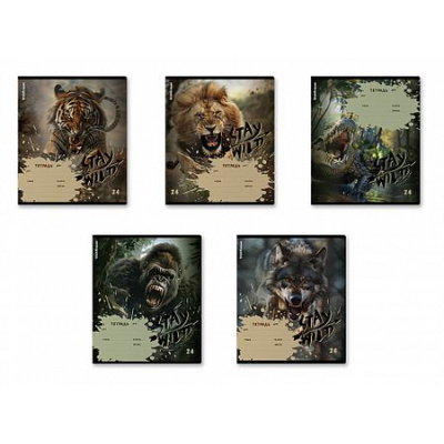 Большое фото товара - Тетрадь  24л клетка "Stay Wild" 63277 ErichKrause, 12-199362. Вариант №1