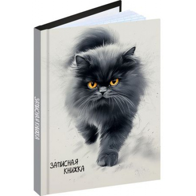 Большое фото товара - Записная книжка А6  96л клетка "ПУШИСТЫЙ КОТ - 5" 96-7562 Проф-Пресс, 12-203276. Вариант №1