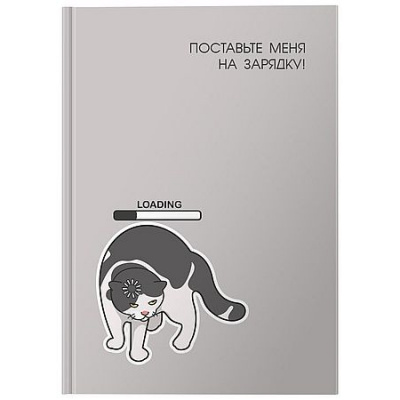 Большое фото товара - Ежедневник недатированный А6 160 стр. "НА ЗАРЯДКУ" DNBL-A6KNZ LITE, 12-204233. Вариант №1