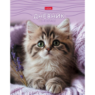 Большое фото товара - Дневник для младших классов (твердая обложка) "МяУсы" Со справ.инф. (094886) 35801 Хатбер, 12-207900. Вариант №1